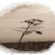 baum01.jpg