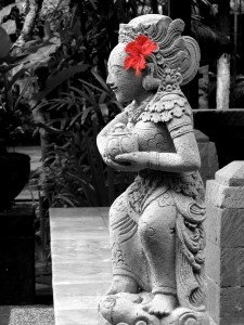 BAL (375) BW COL BAL (375) BW COL