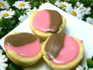 Neenish Tarts (9)