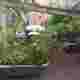 DSC_0001_BURST20230827143034915