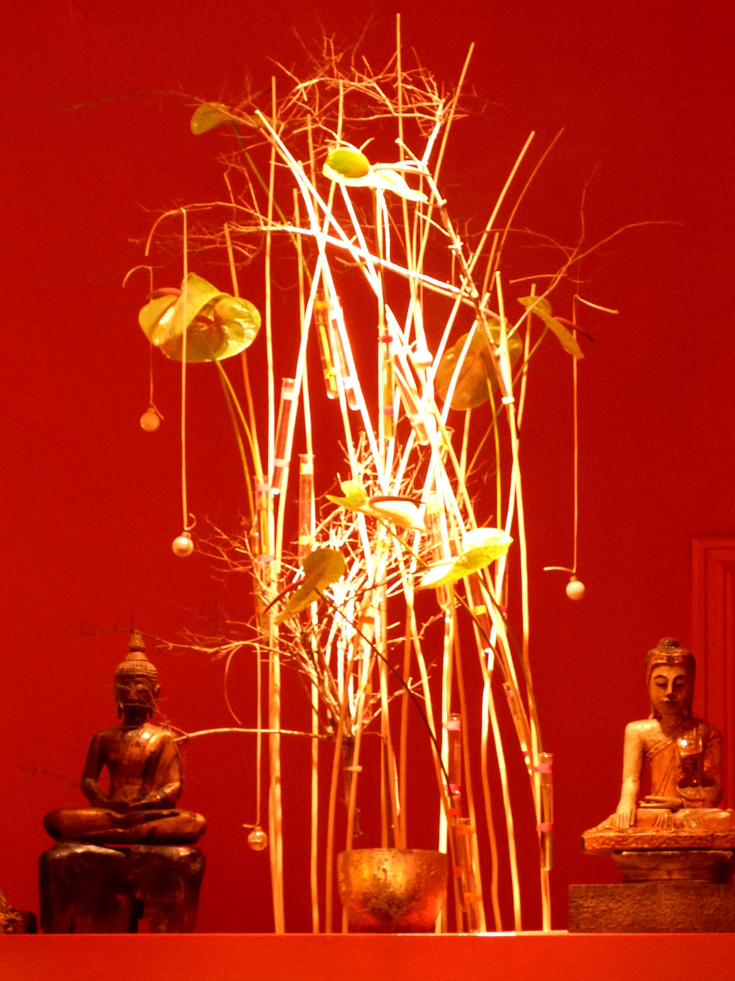 berlindez2013-527