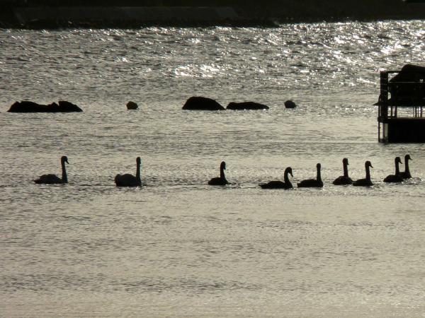 ruegen2010-bestof-155