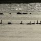 ruegen2010-bestof-155