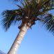 dsc00086