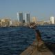 dubai-2011-797