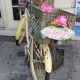 P1080333 - Kopie (2)