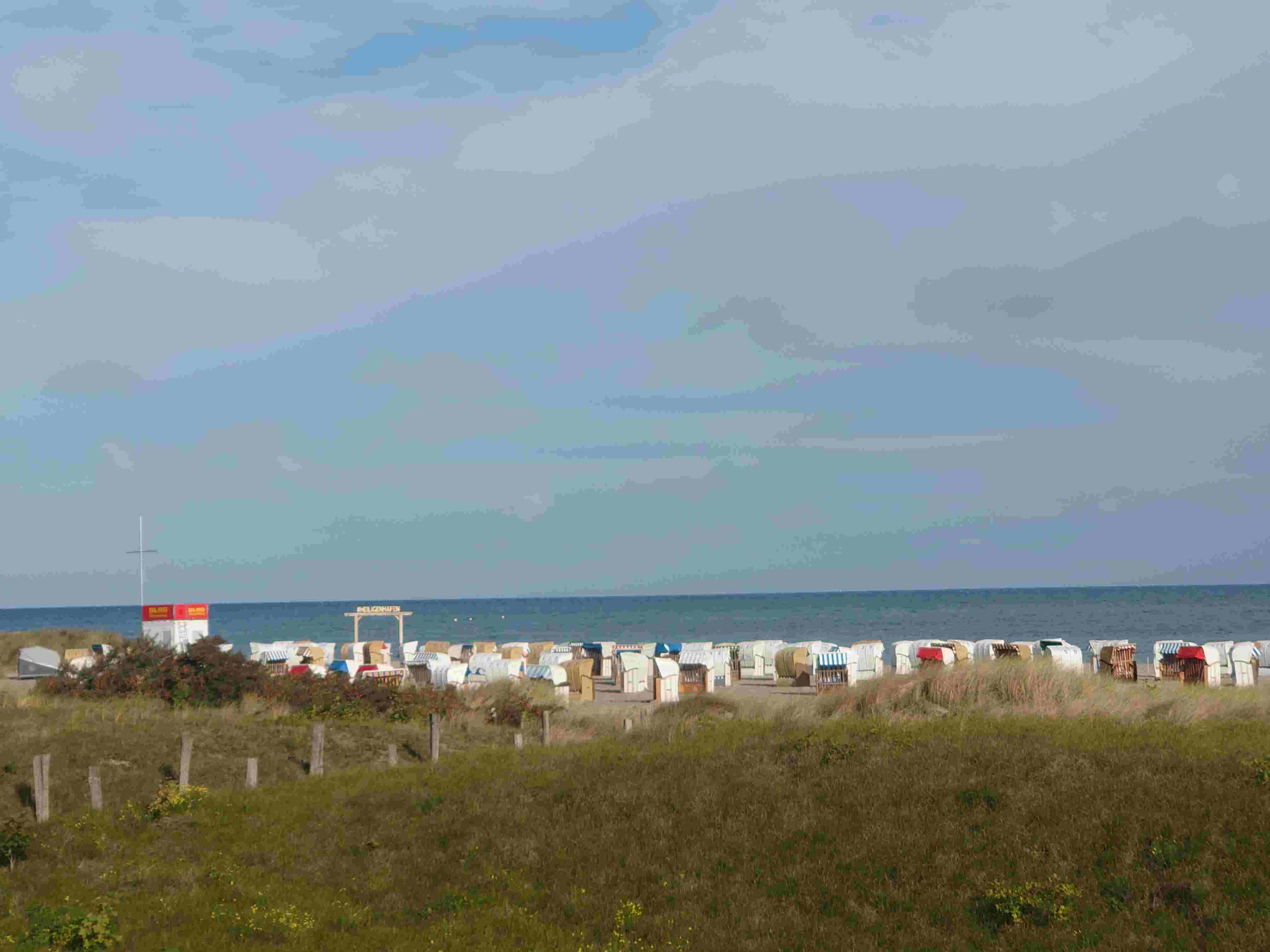 DSC_8632-1