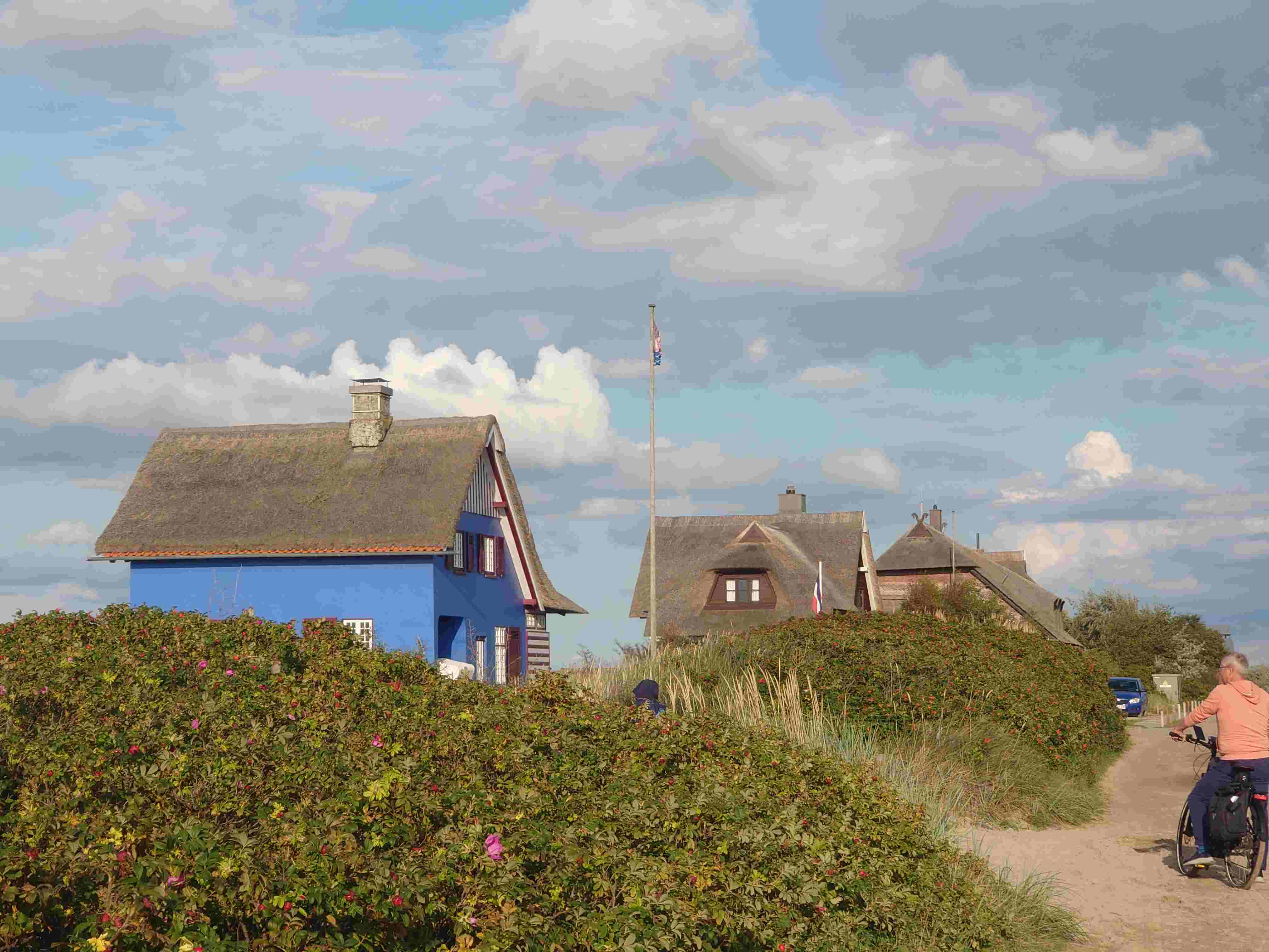 DSC_8805-1