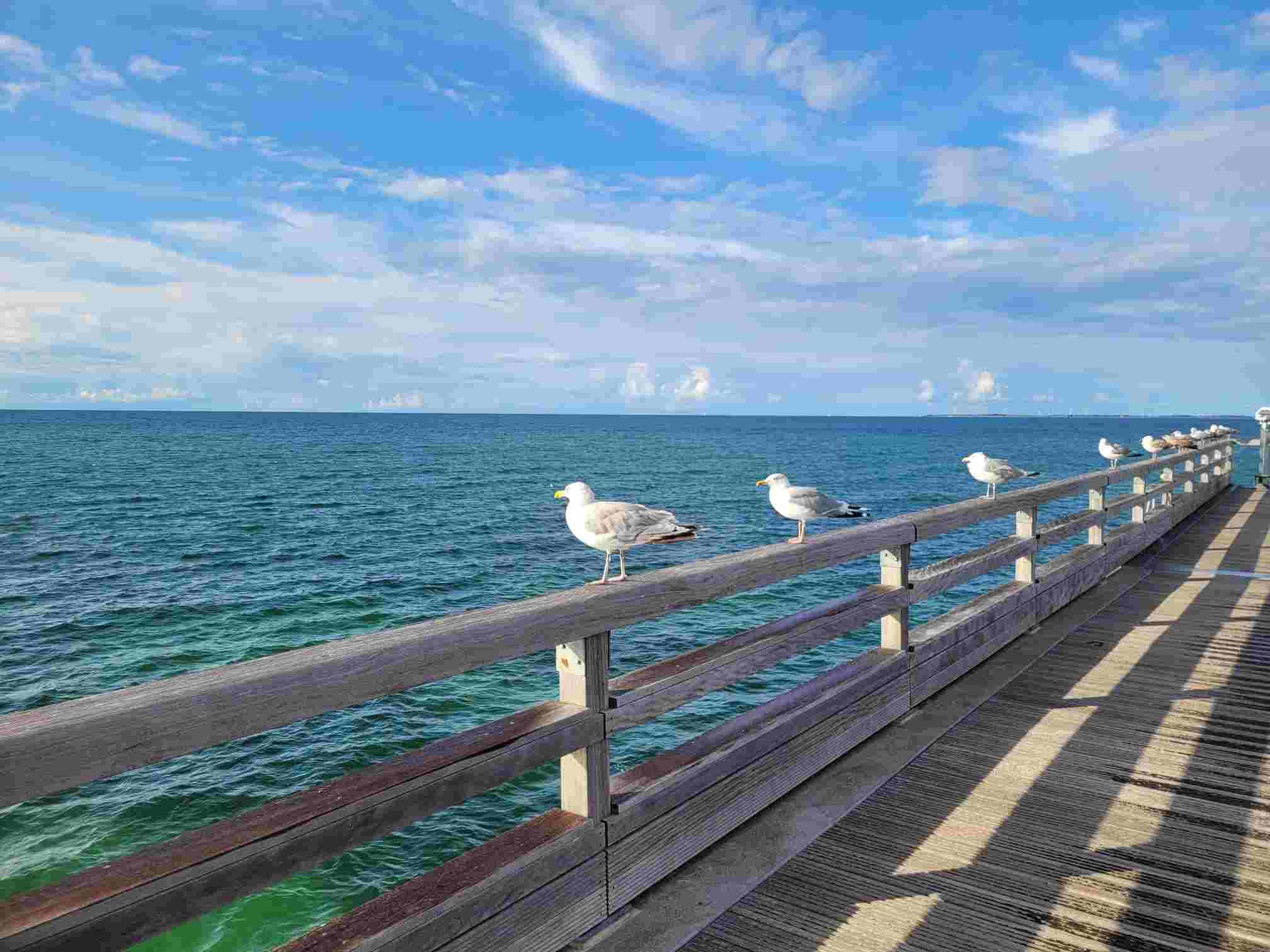 IMG-20230831-WA0003