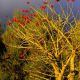 nzl-2003-10-22-08-16-0214