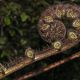 nzl-2003-10-22-21-53-0267-fern-tree-blatt