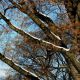 nyc2009-2112-80
