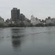 nyc2009-2512-164-compressed