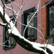 nyc2009-3112-74-compressed