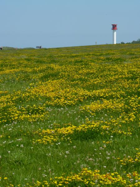 p1220010