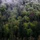 p4300018b