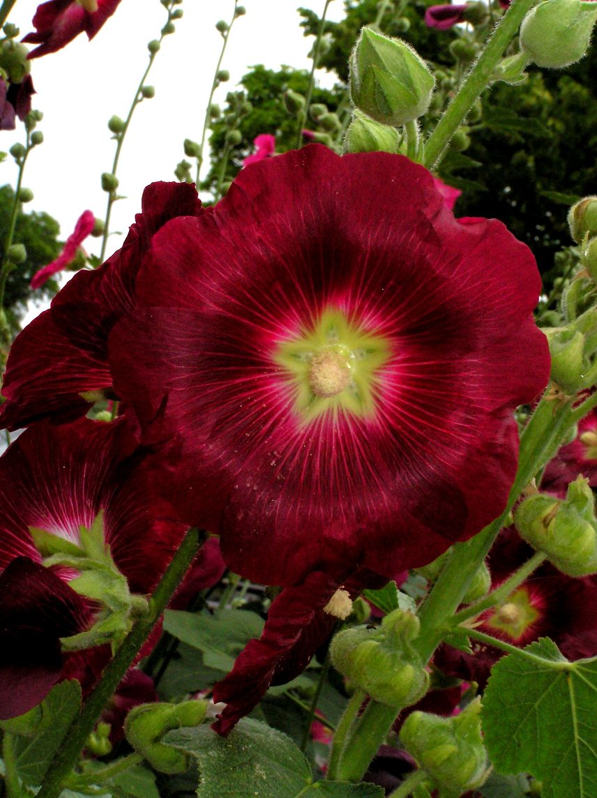 p7200476