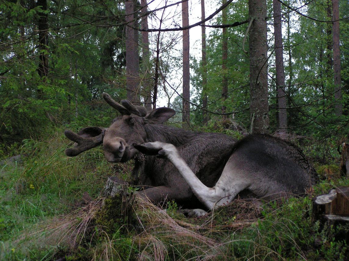 p7240758