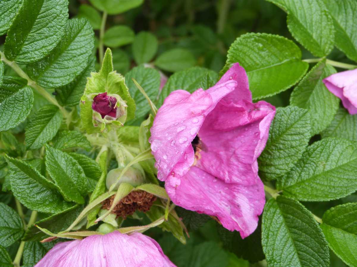 P1430050
