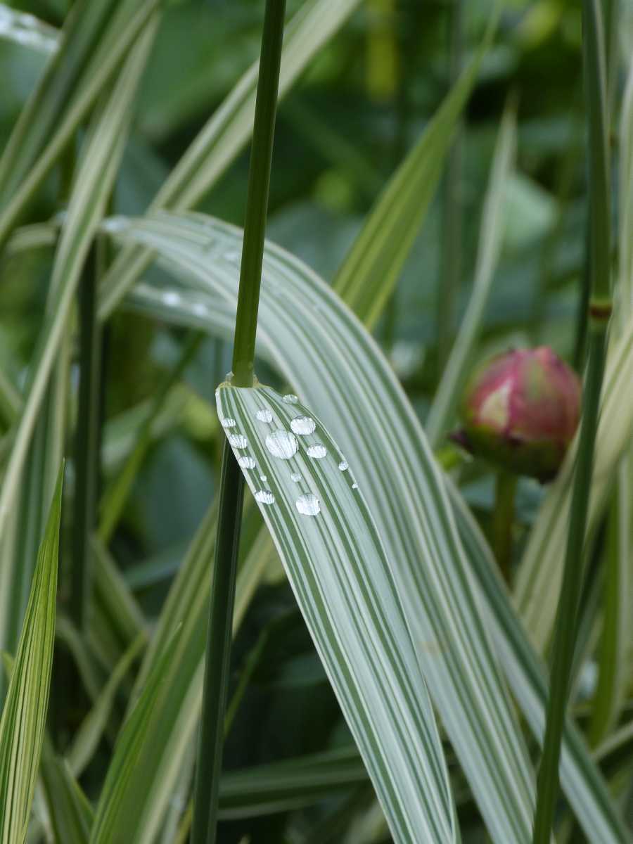 P1430134