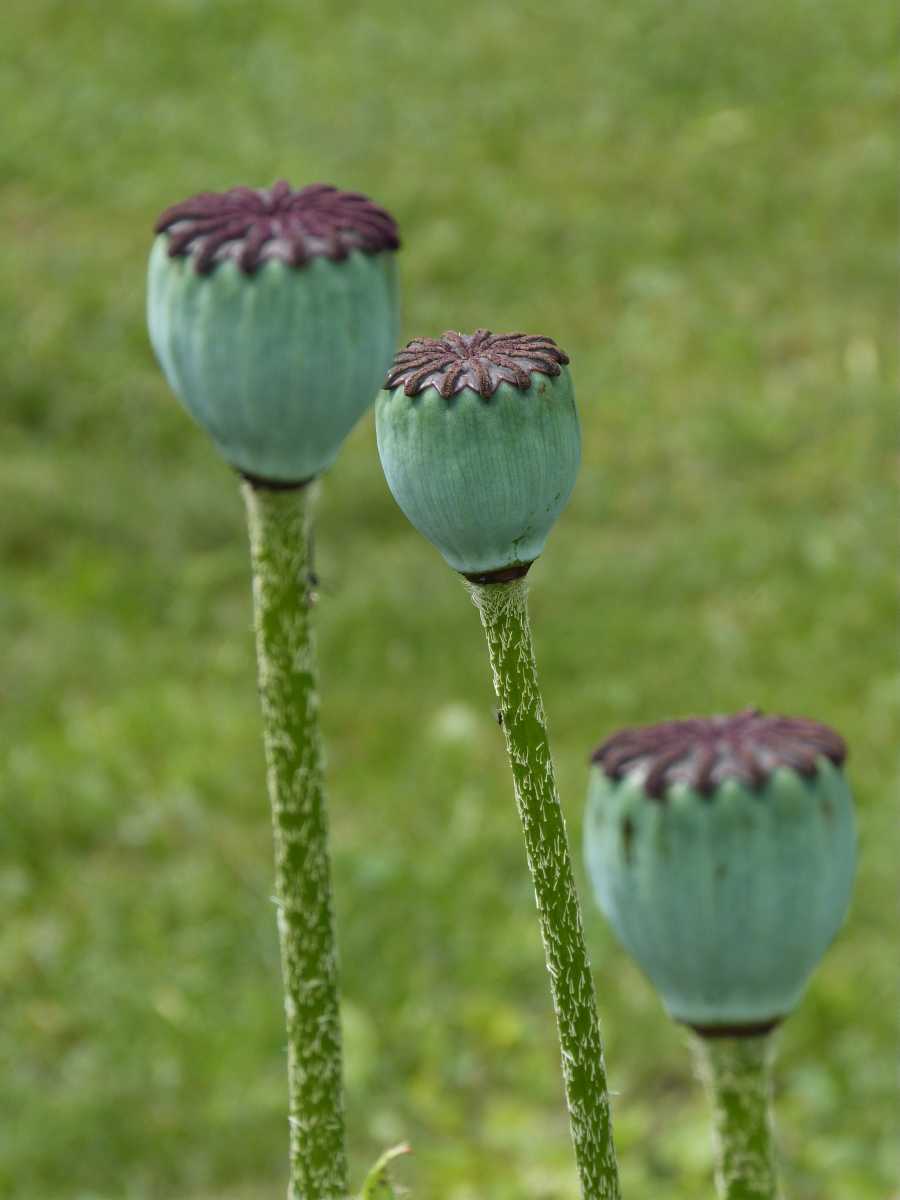 P1430358