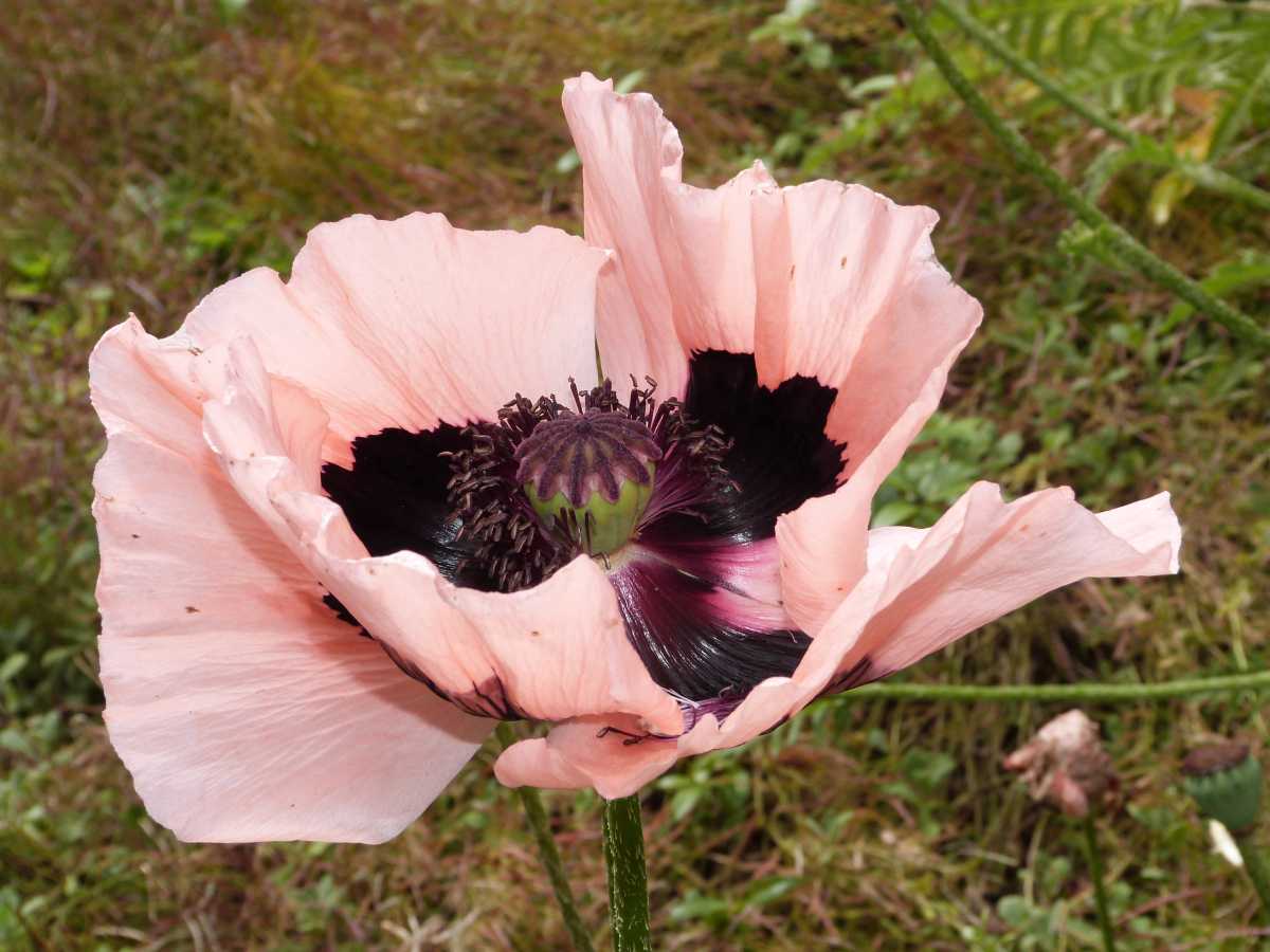 P1430374