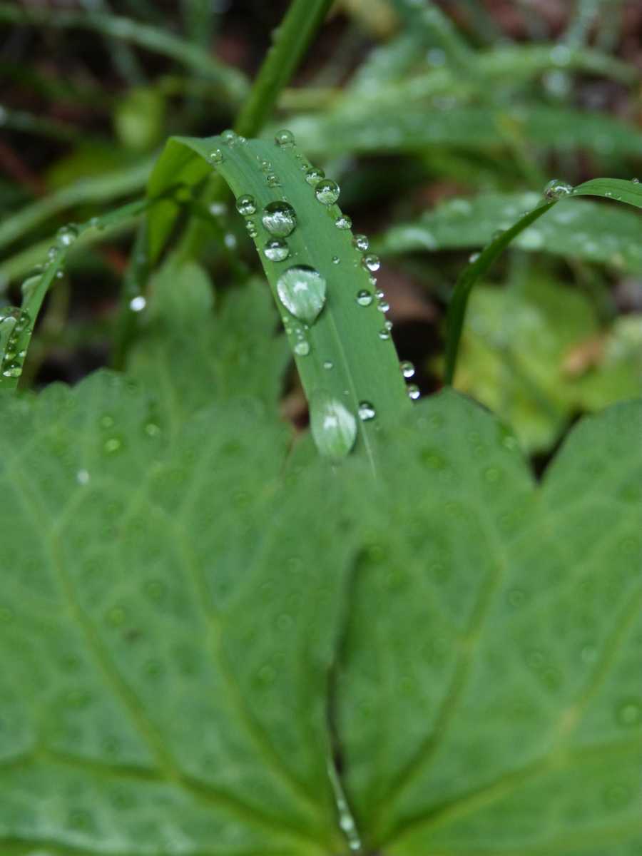 P1430707