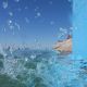Dee-Why-Rockpool-34