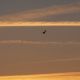 sylt-mai-juni-2010-129