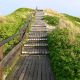 sylt-mai-juni-2010-483