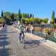 IMG-20221019-WA0003