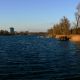 andrea-farthofer-skyline-alte-donau